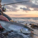 Vissen op Zeeforel Nederland